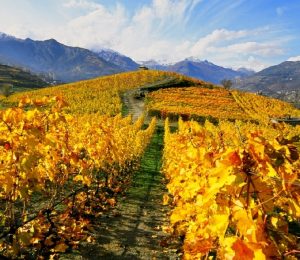 La tenuta di Les Cretes ad Aymavilles, Valle d'Aosta
